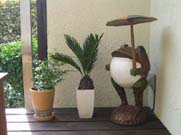 salone-K* salone-K*