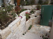 色とりどりの草花